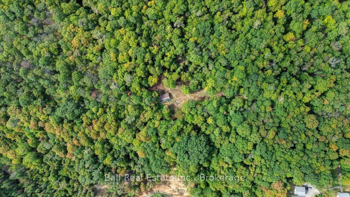 Photo 4 of PT LT 41 Road, Wollaston — HOMEH