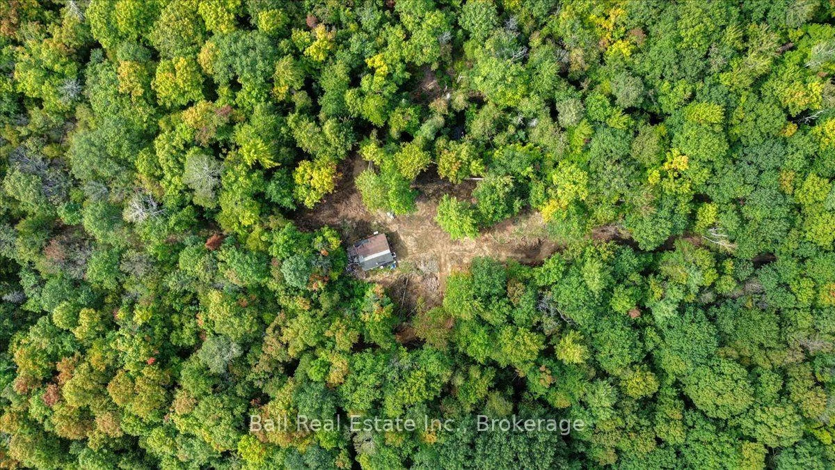 Photo 5 of PT LT 41 Road, Wollaston — HOMEH