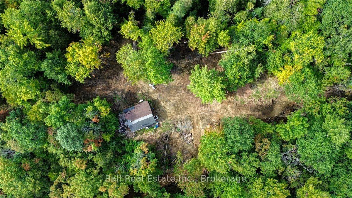 Photo 6 of PT LT 41 Road, Wollaston — HOMEH