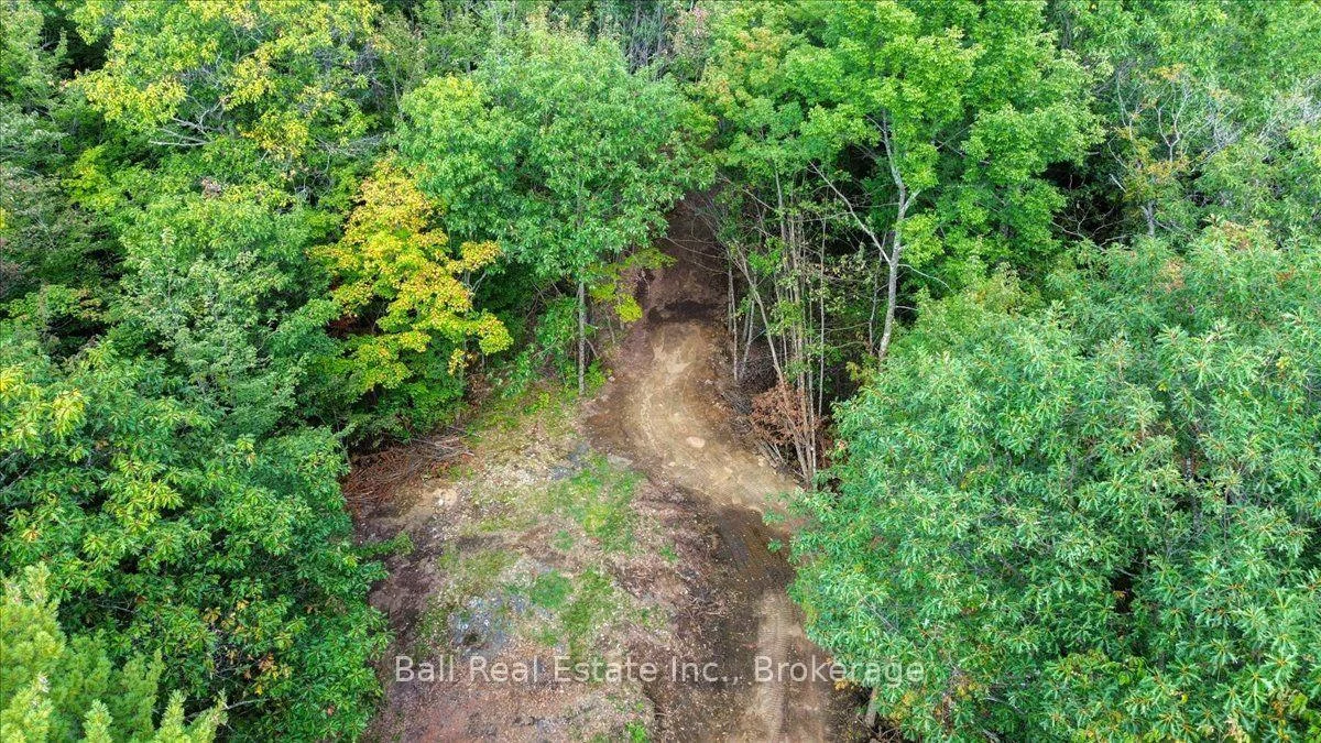 Photo 7 of PT LT 41 Road, Wollaston — HOMEH