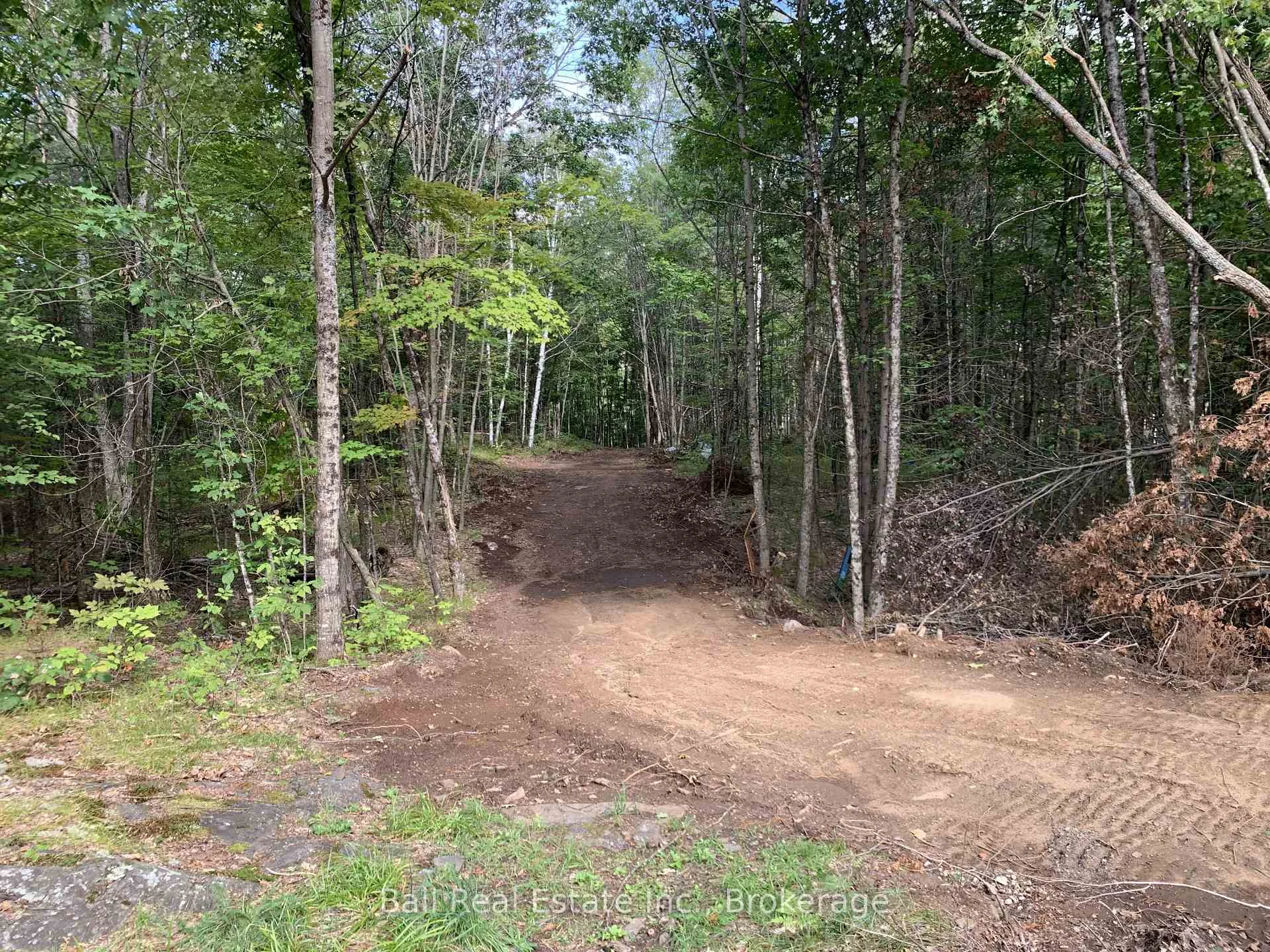 Photo 14 of PT LT 41 Road, Wollaston — HOMEH