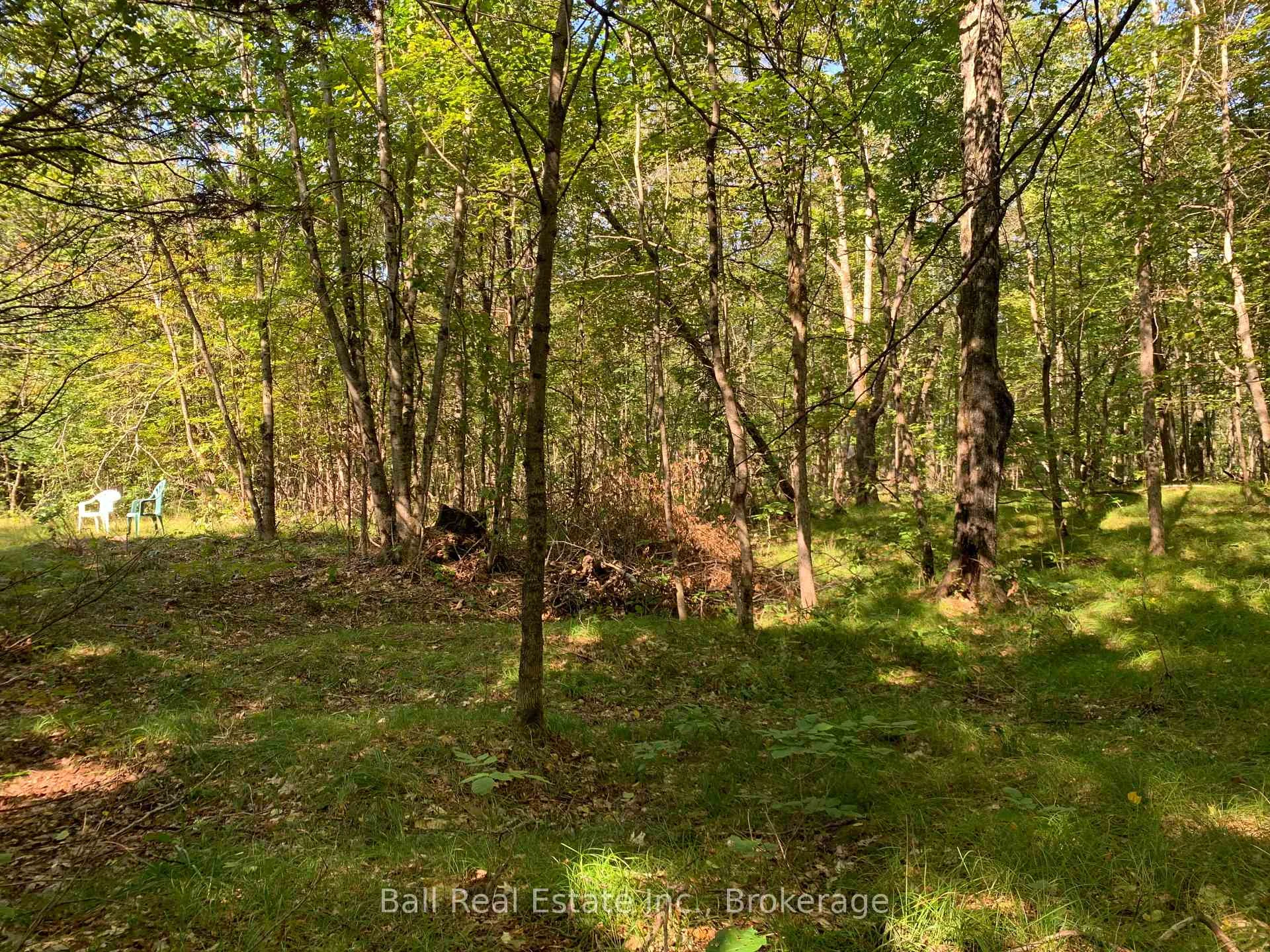 Photo 15 of PT LT 41 Road, Wollaston — HOMEH