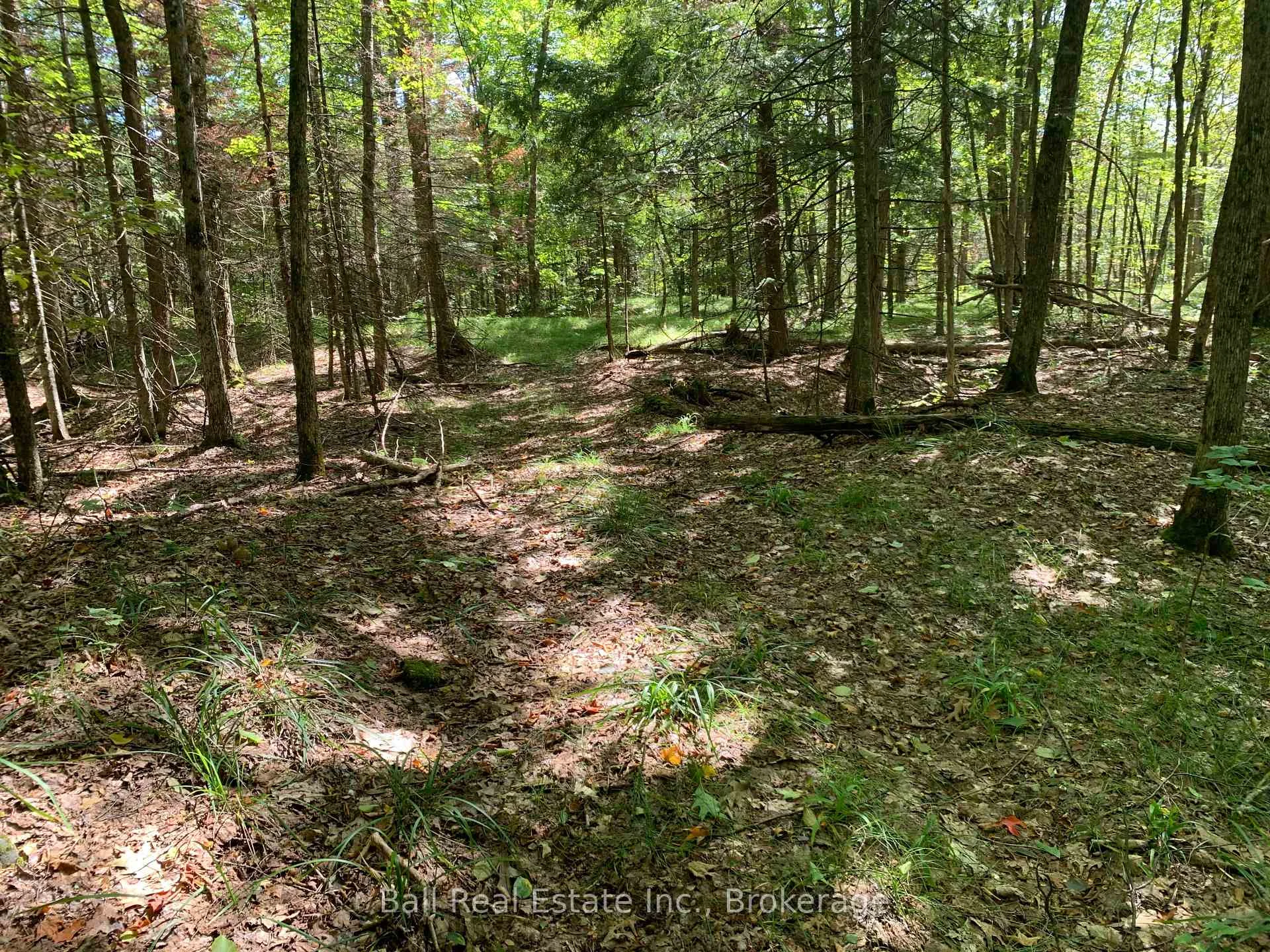 Photo 18 of PT LT 41 Road, Wollaston — HOMEH