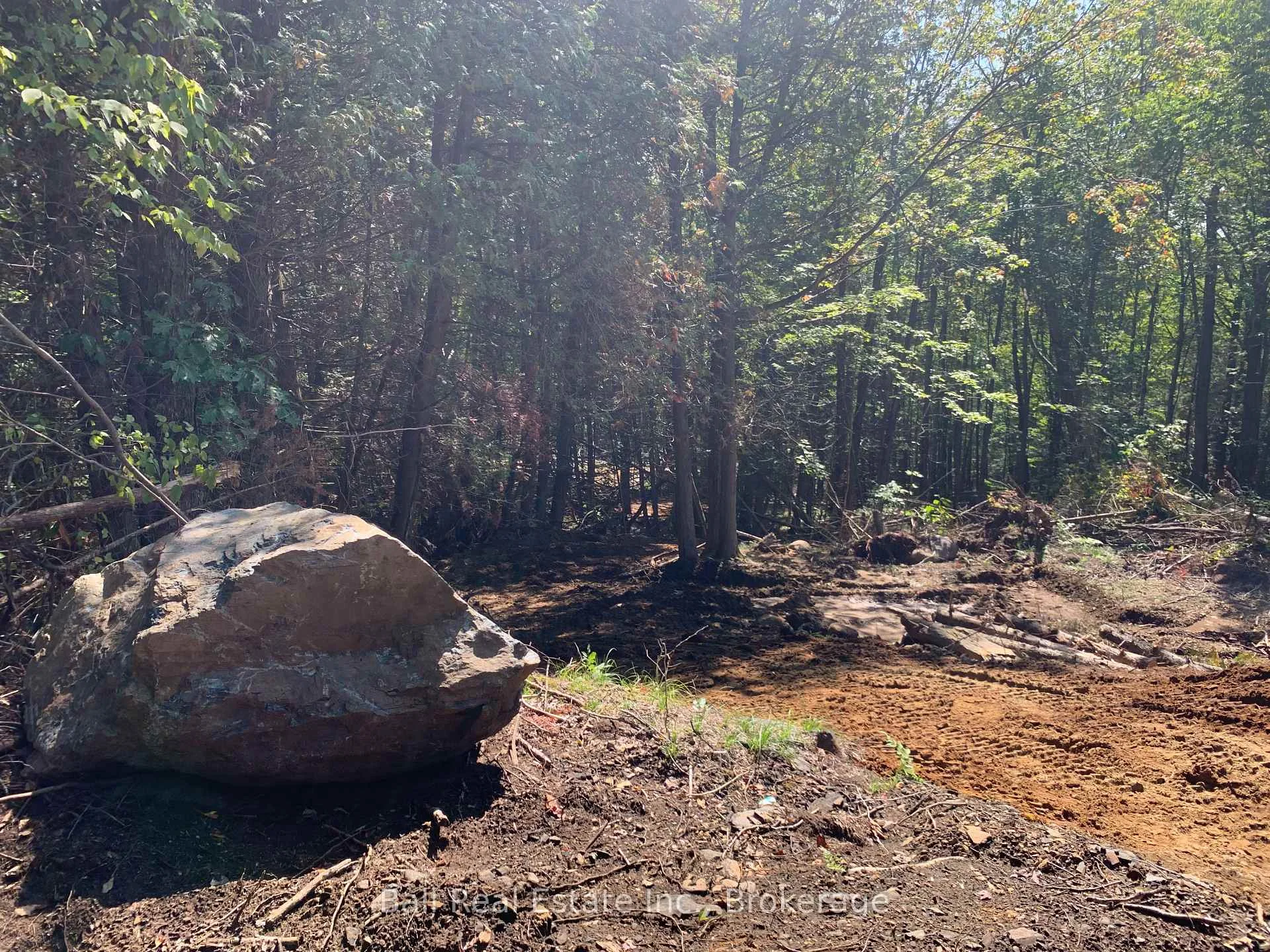 Photo 19 of PT LT 41 Road, Wollaston — HOMEH