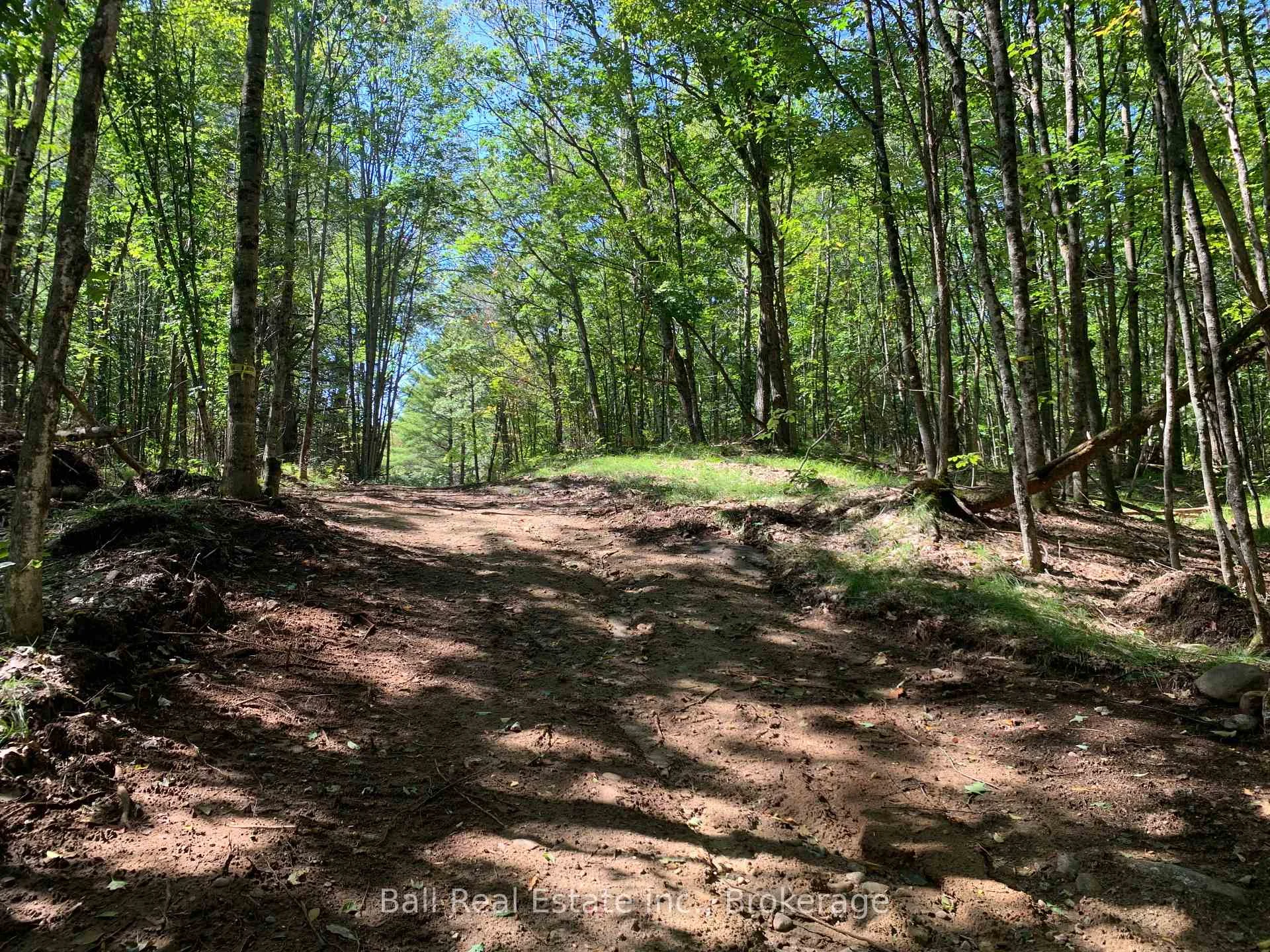 Photo 20 of PT LT 41 Road, Wollaston — HOMEH