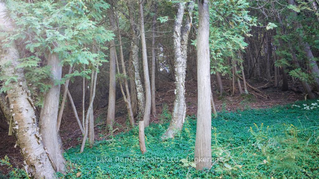 Photo 32 of 82847 Culbert Road, Ashfield-Colborne-Wawanosh, Colborne — HOMEH