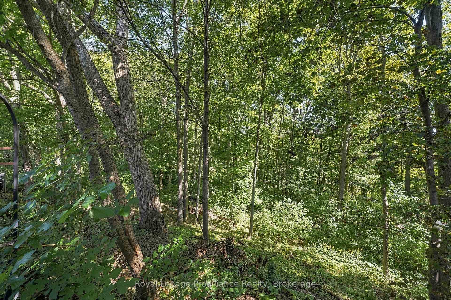 Photo 50 of 36 Parkview Heights, Quinte West, Trenton Ward — HOMEH