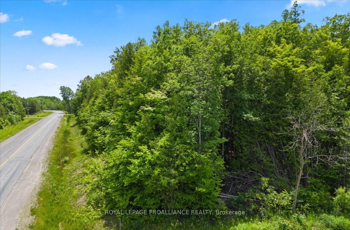 Photo 2 of Marlbank Rd, Tweed, Hungerford (Twp) — HOMEH