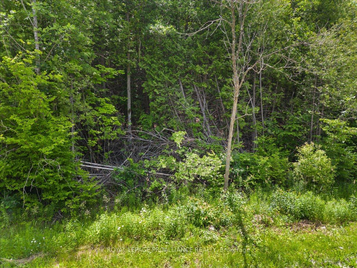 Photo 3 of Marlbank Rd, Tweed, Hungerford (Twp) — HOMEH