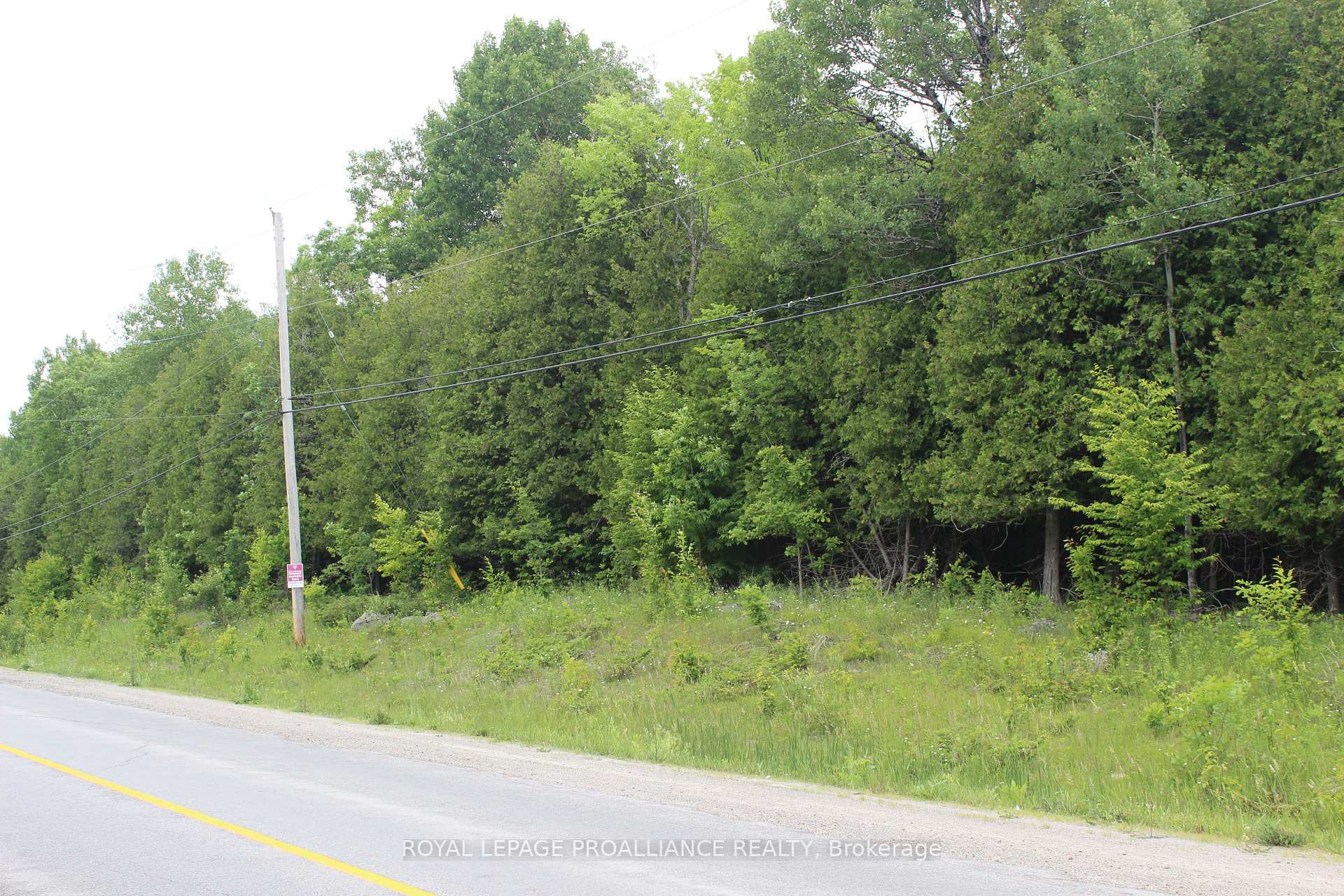 Photo 4 of Marlbank Rd, Tweed, Hungerford (Twp) — HOMEH