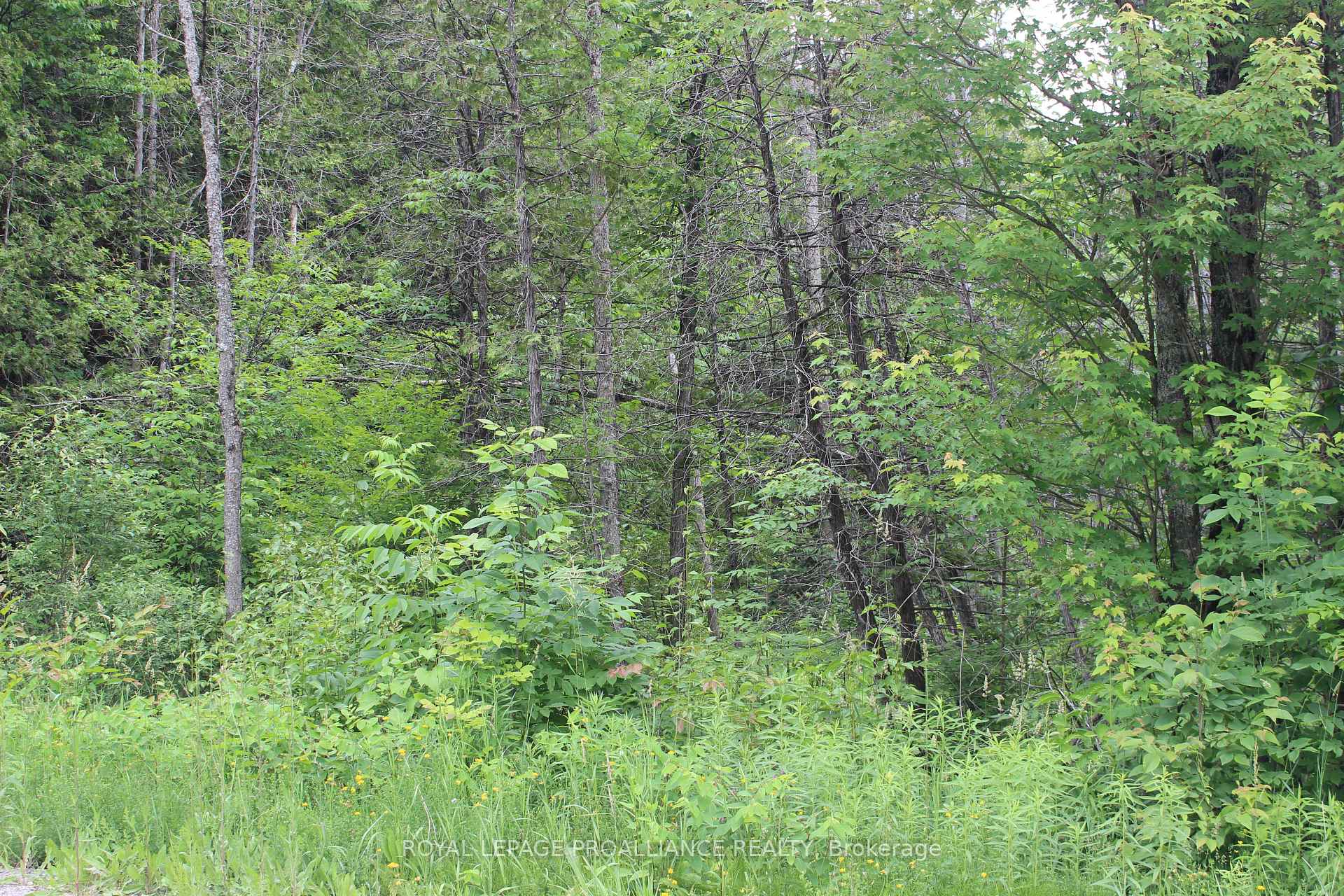 Photo 5 of Marlbank Rd, Tweed, Hungerford (Twp) — HOMEH