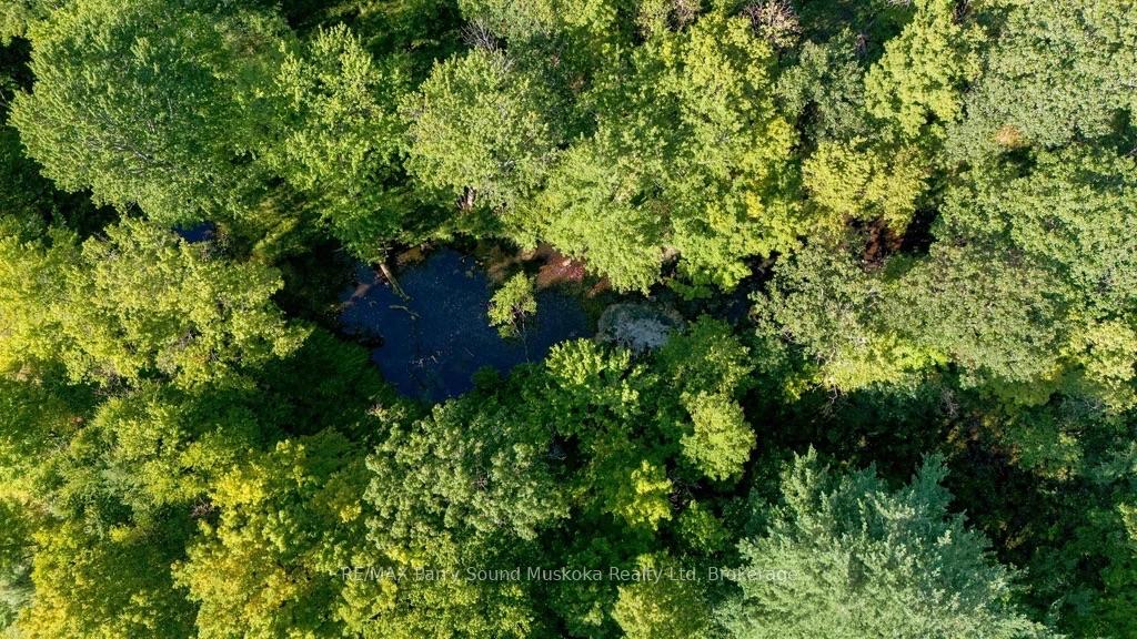 Photo 27 of 10 Magor Drive, Seguin — HOMEH