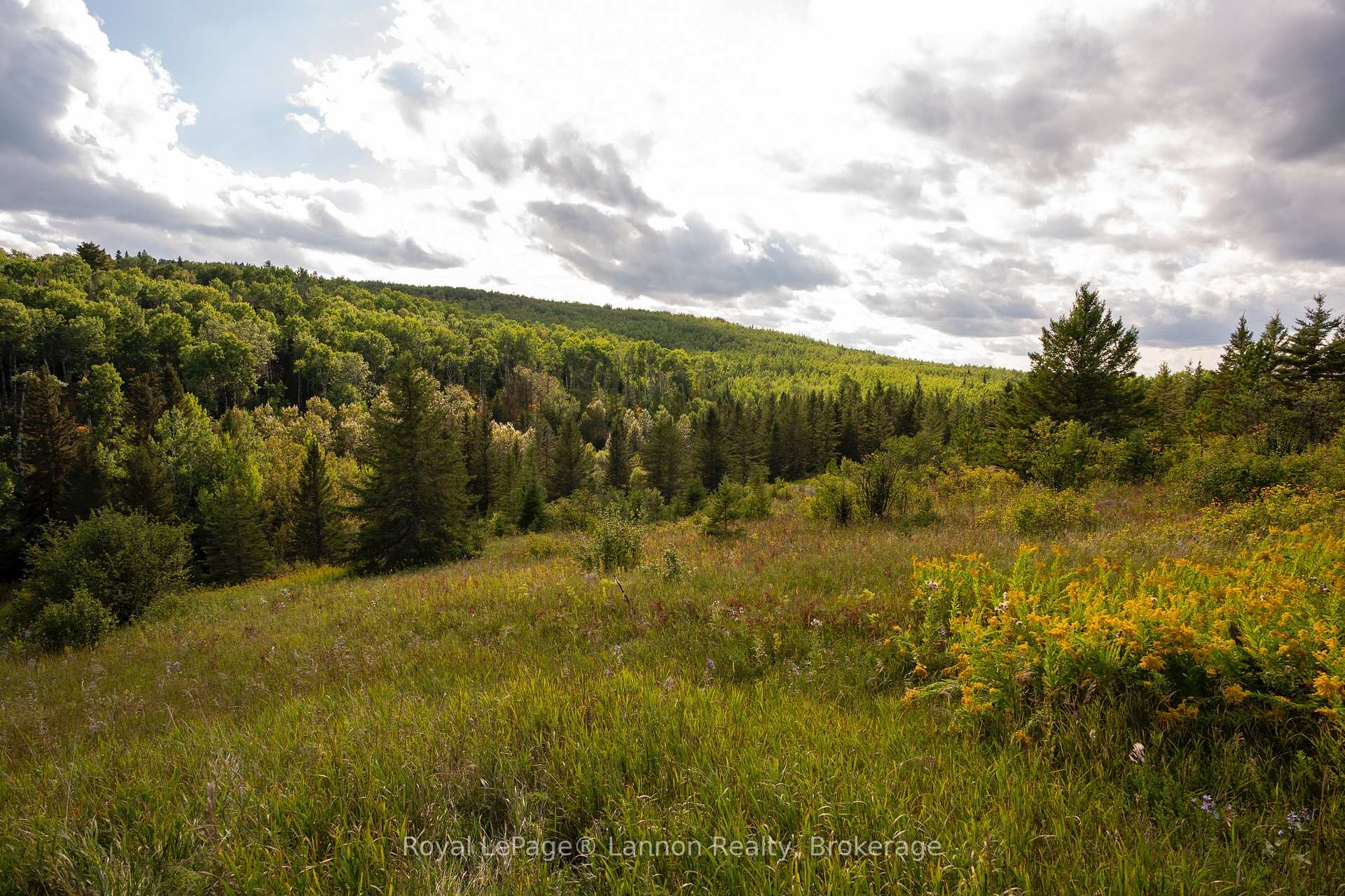 Photo 3 of 6627 Dawson Road, Thunder Bay Remote Area, Dawson Road Lots — HOMEH