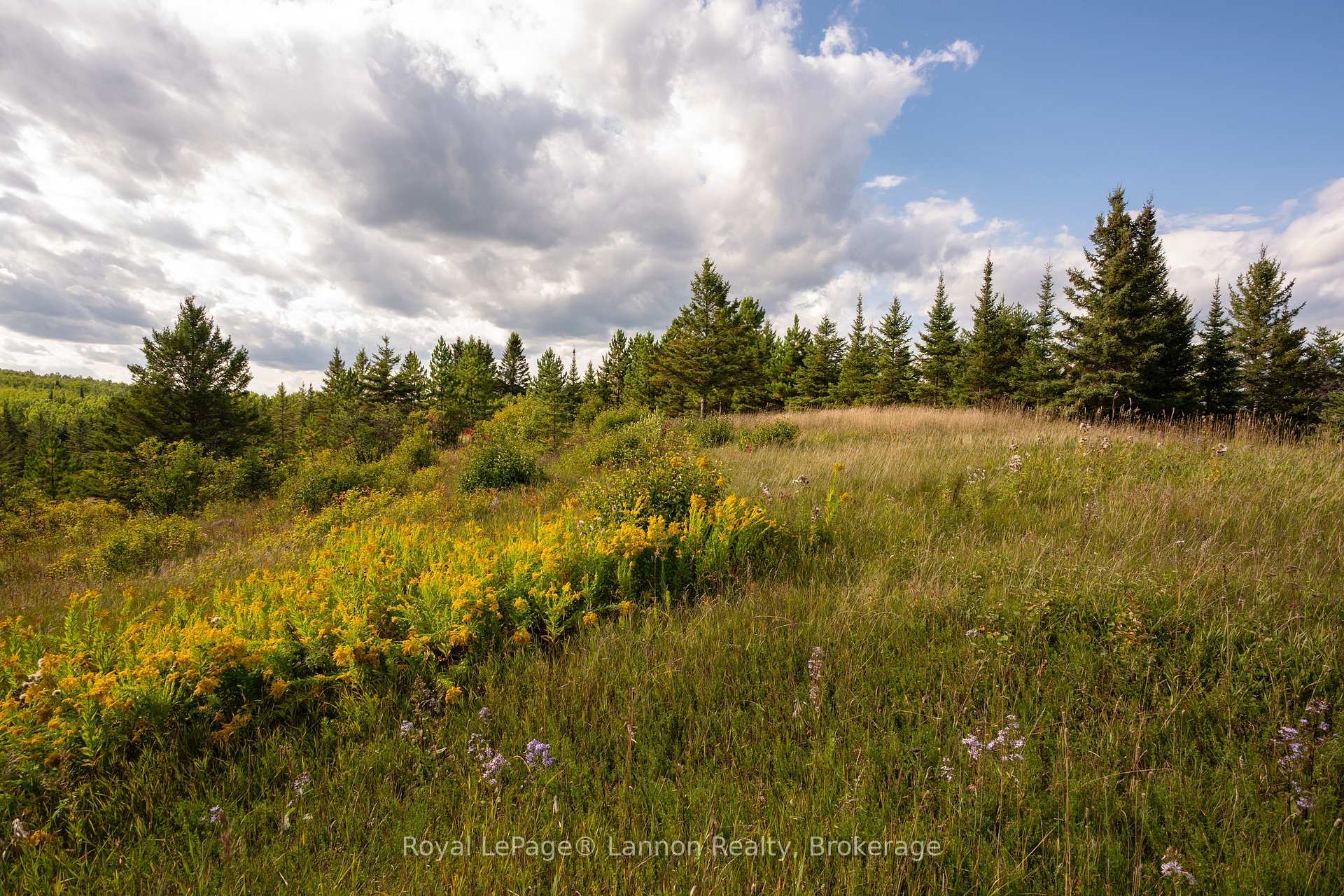Photo 4 of 6627 Dawson Road, Thunder Bay Remote Area, Dawson Road Lots — HOMEH