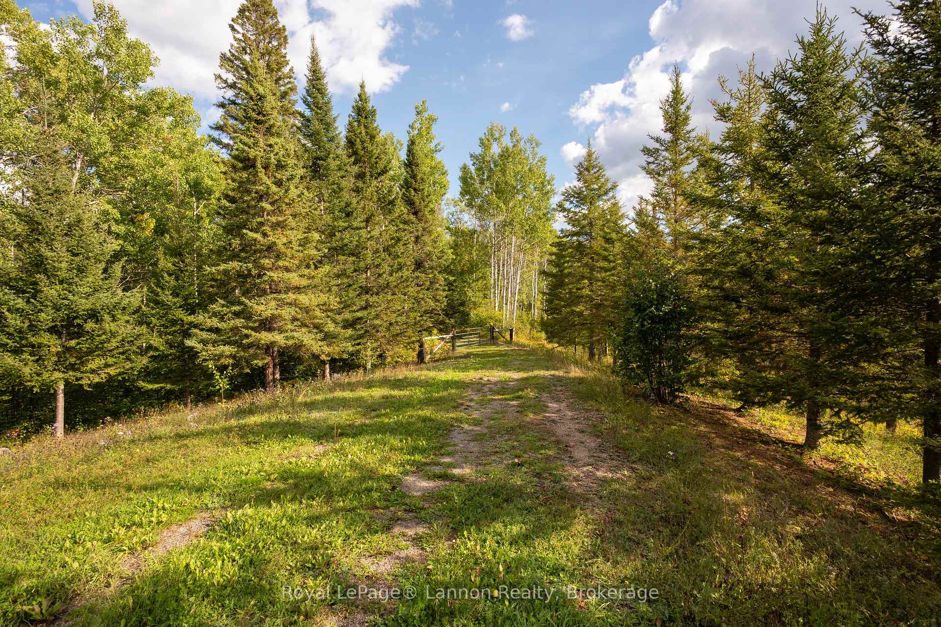 Photo 49 of 6627 Dawson Road, Thunder Bay Remote Area, Dawson Road Lots — HOMEH