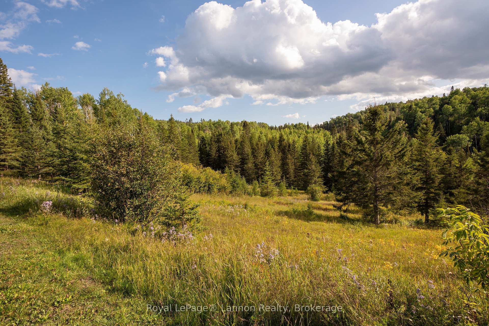Photo 52 of 6627 Dawson Road, Thunder Bay Remote Area, Dawson Road Lots — HOMEH