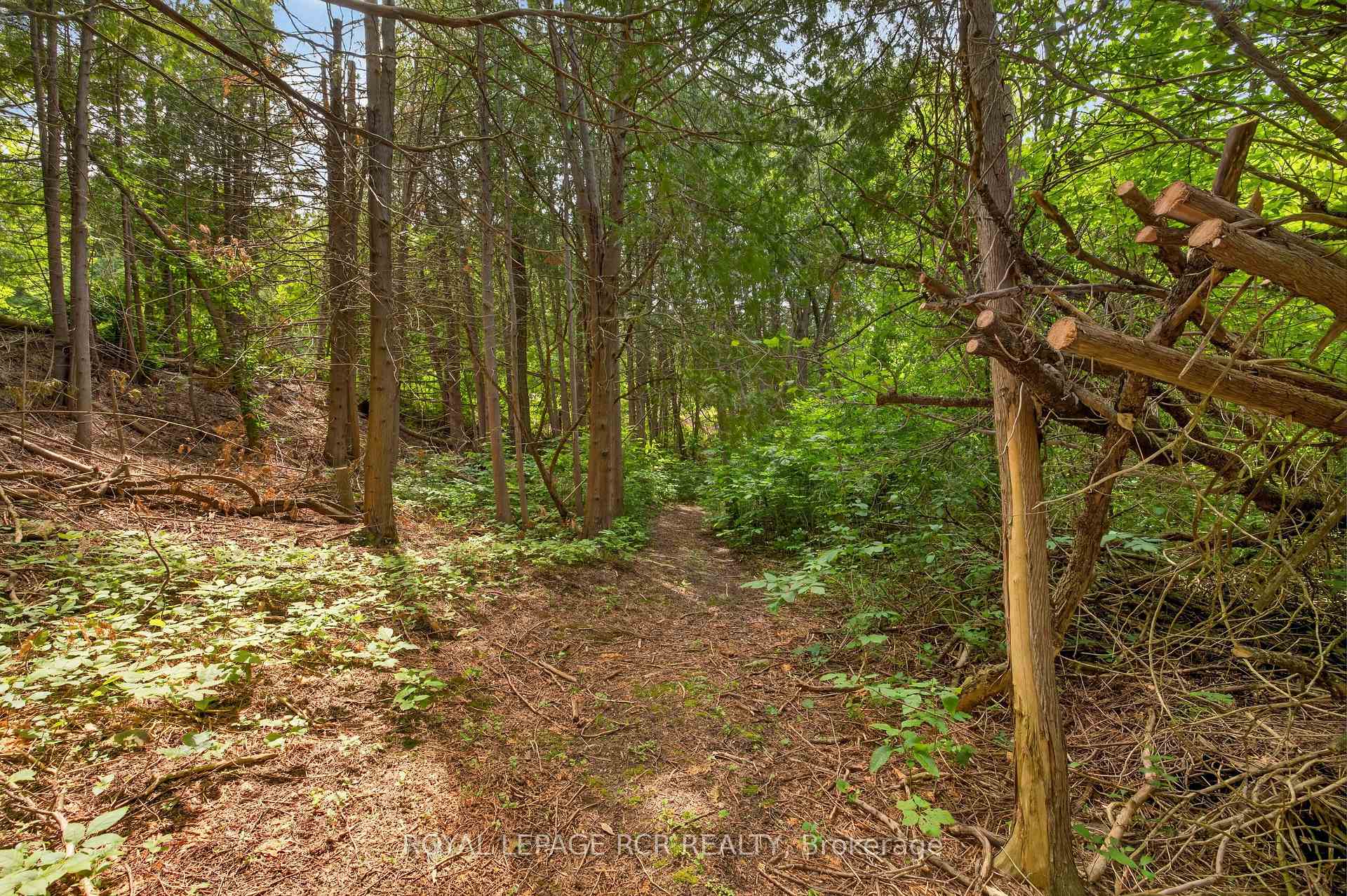 Photo 47 of 308339 Hockley Road, Mono, Rural Mono — HOMEH