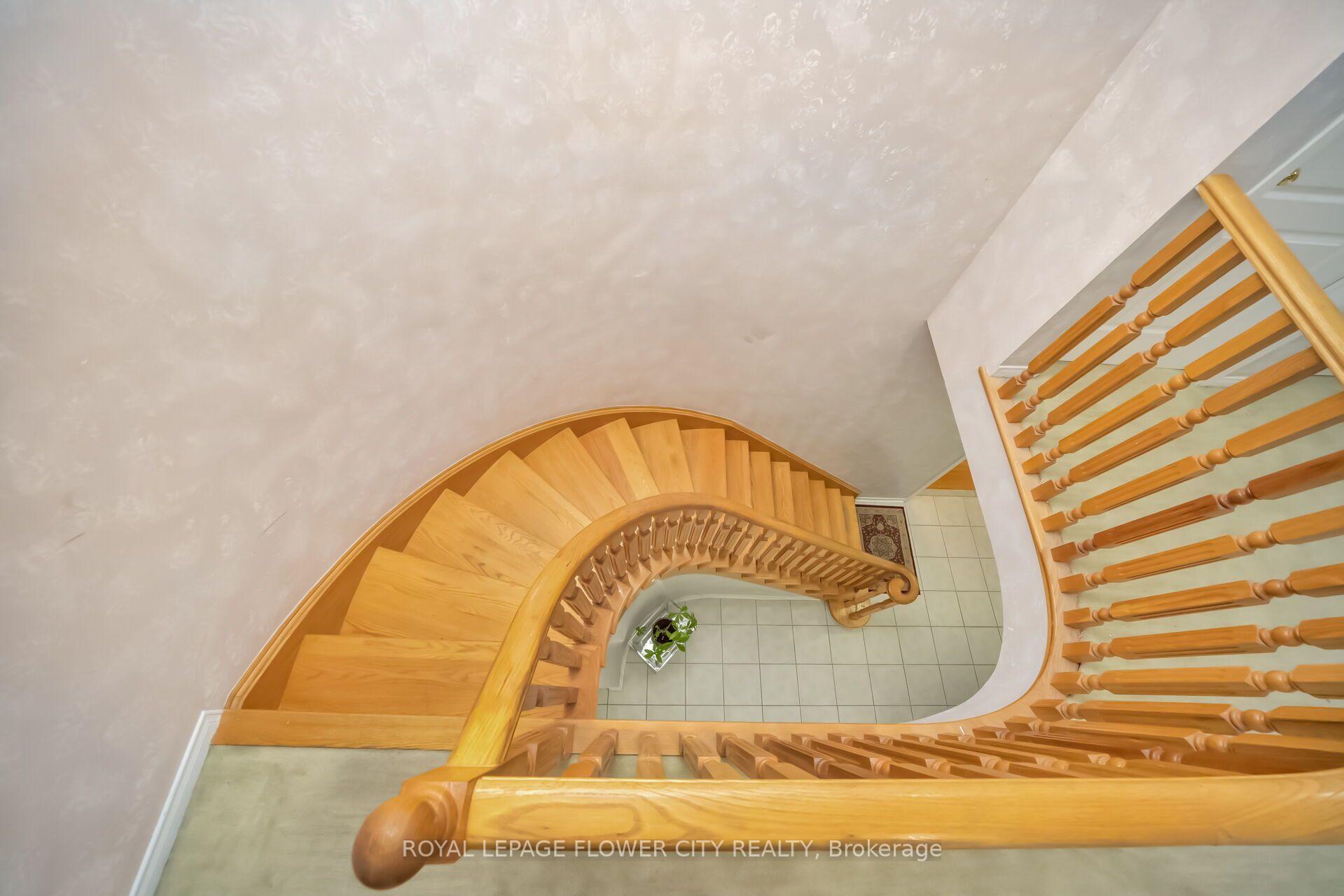Photo 42 of 36 Borneo Crescent, Brampton, Sandringham-Wellington North — HOMEH