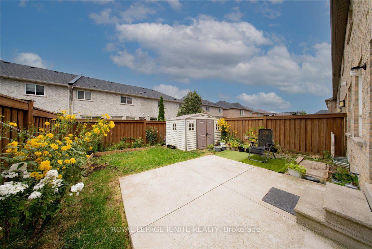 Photo 36 of 67 Severin Street, Brampton, Sandringham-Wellington — HOMEH