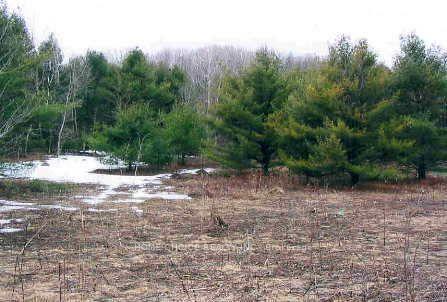 Photo 7 of 14600 jane Street, King, Rural King — HOMEH
