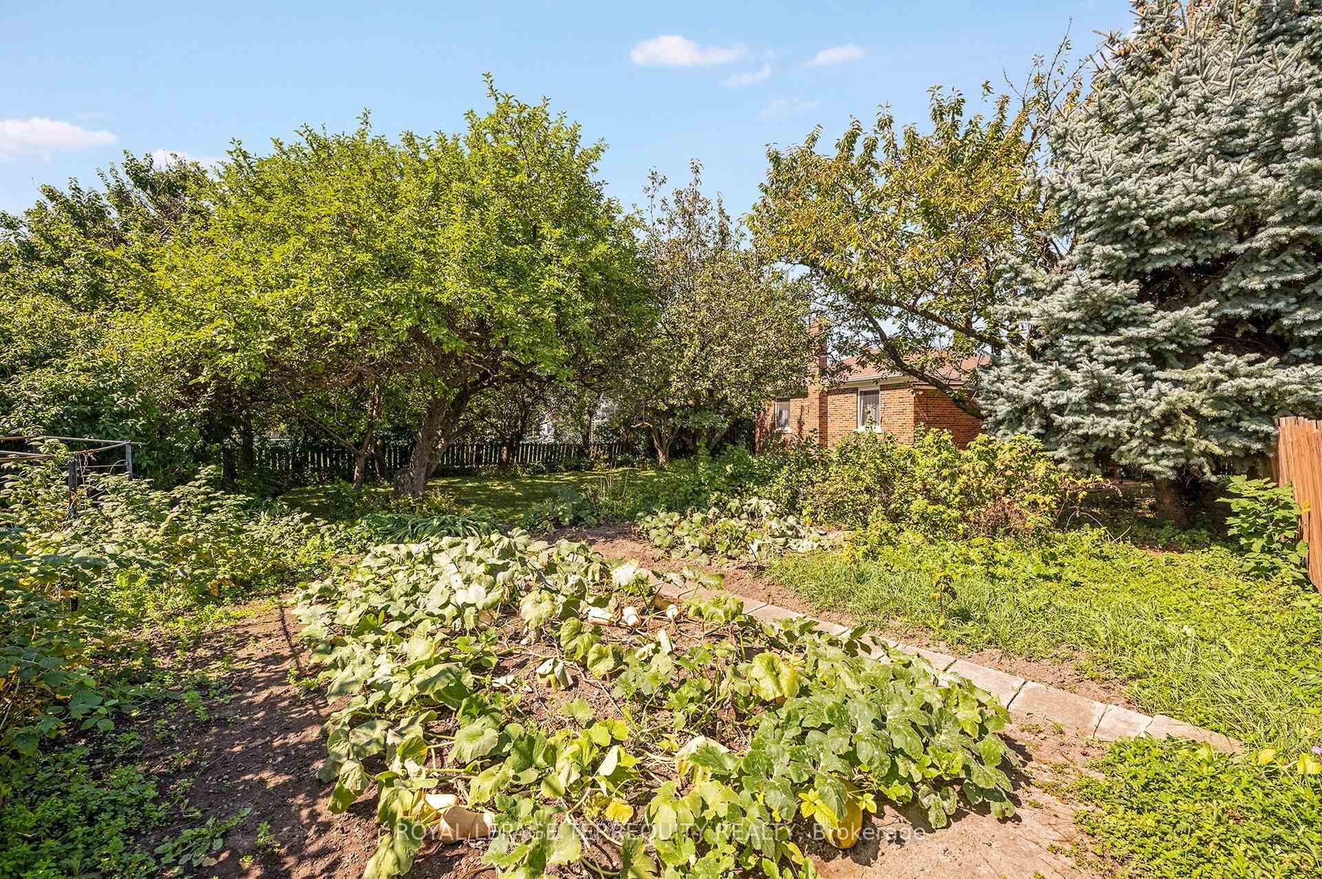 Photo 37 of 11 Picton Crescent, North York, Downsview-Roding-CFB — HOMEH