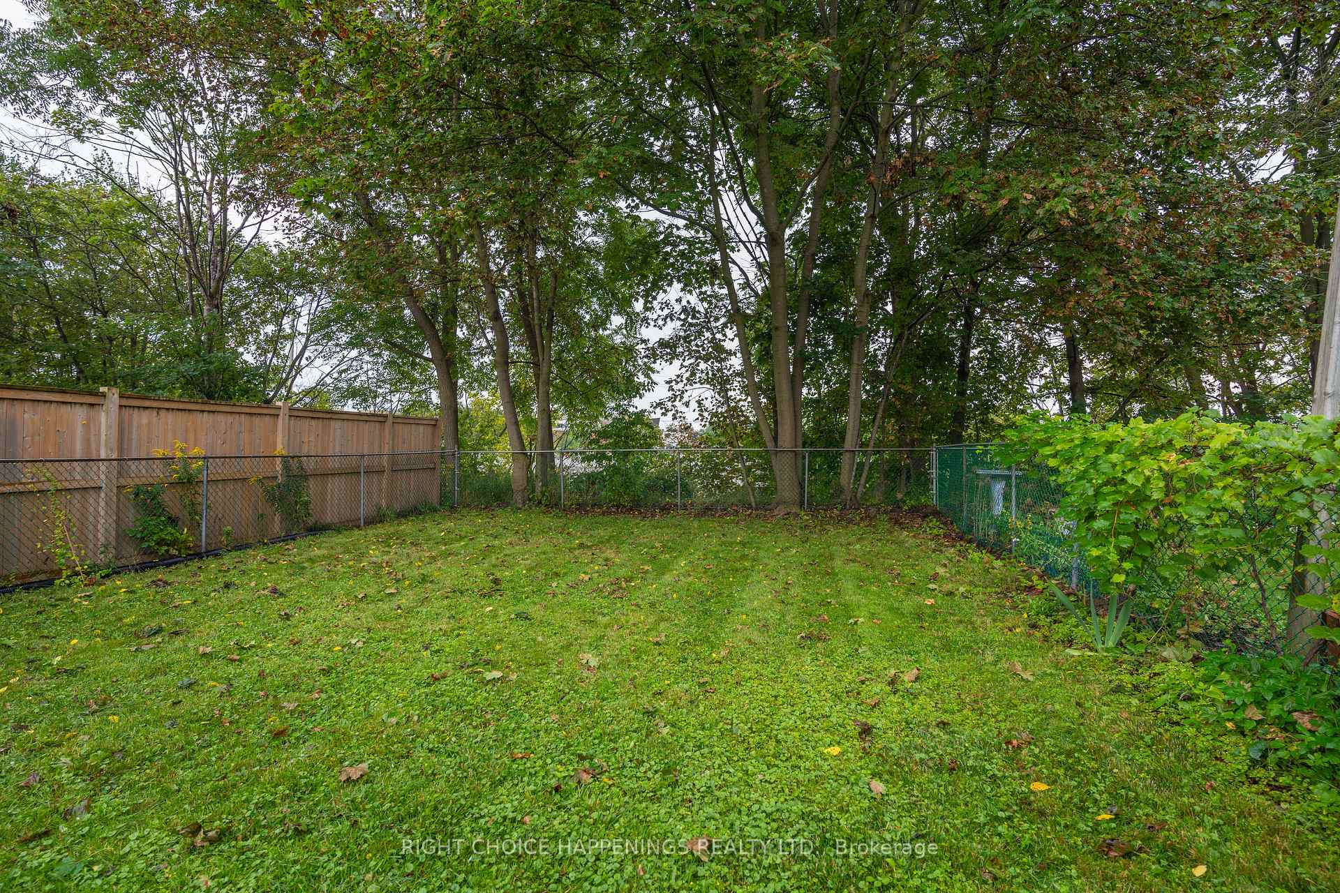 Photo 13 of 55 Merritt Street, Welland, Prince Charles — HOMEH