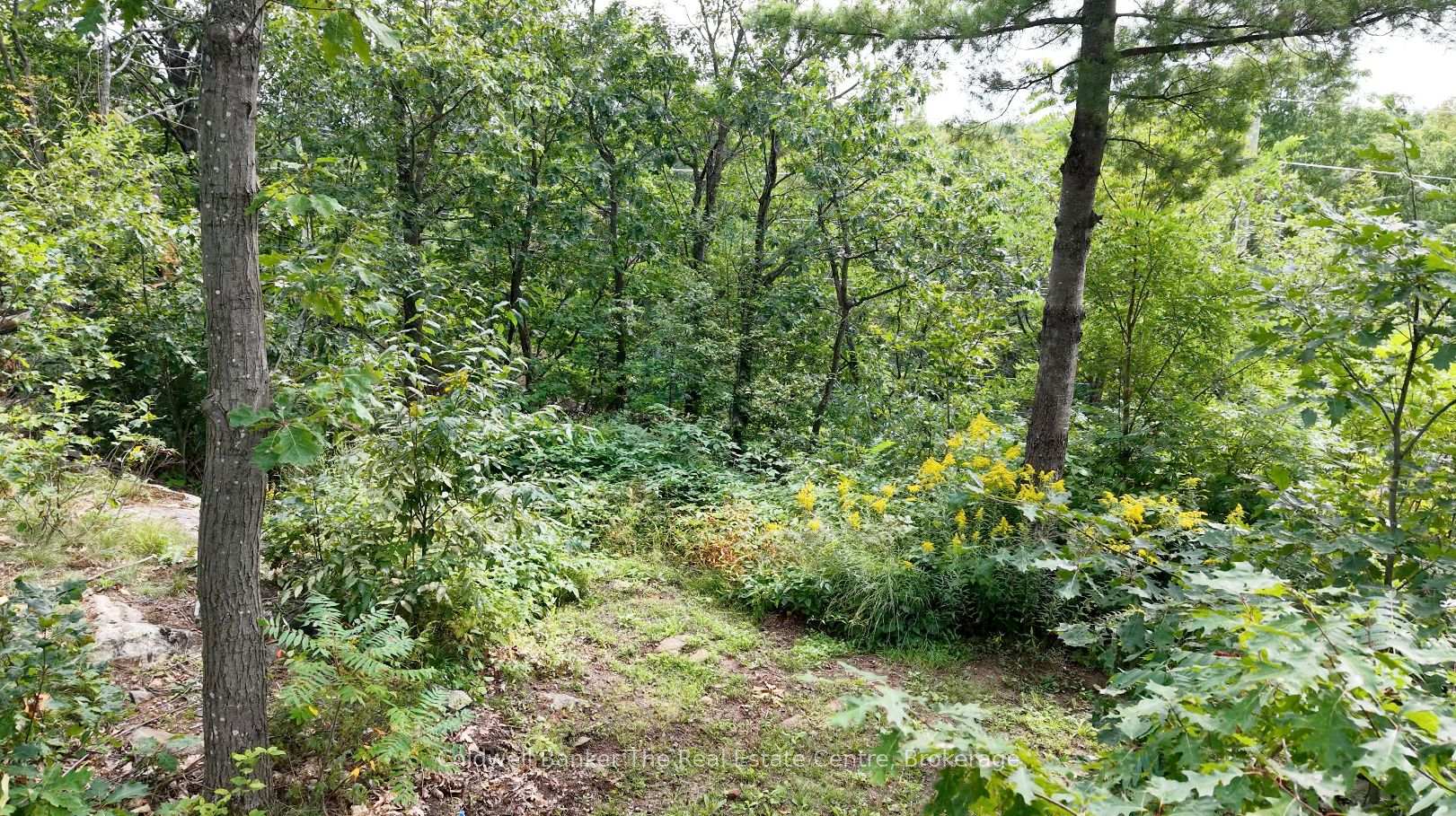 Photo 44 of 250 Wanda Miller Road, Gravenhurst, Muskoka (S) — HOMEH