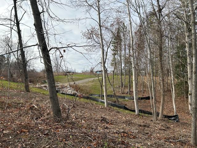 Photo 15 of Sully Road, Hamilton Township, Rural Hamilton — HOMEH