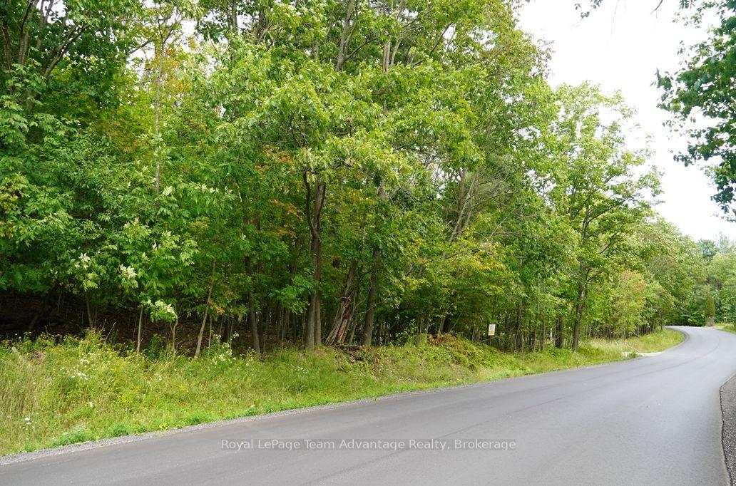 Photo 2 of 99 Carling Bay Road E, Carling — HOMEH