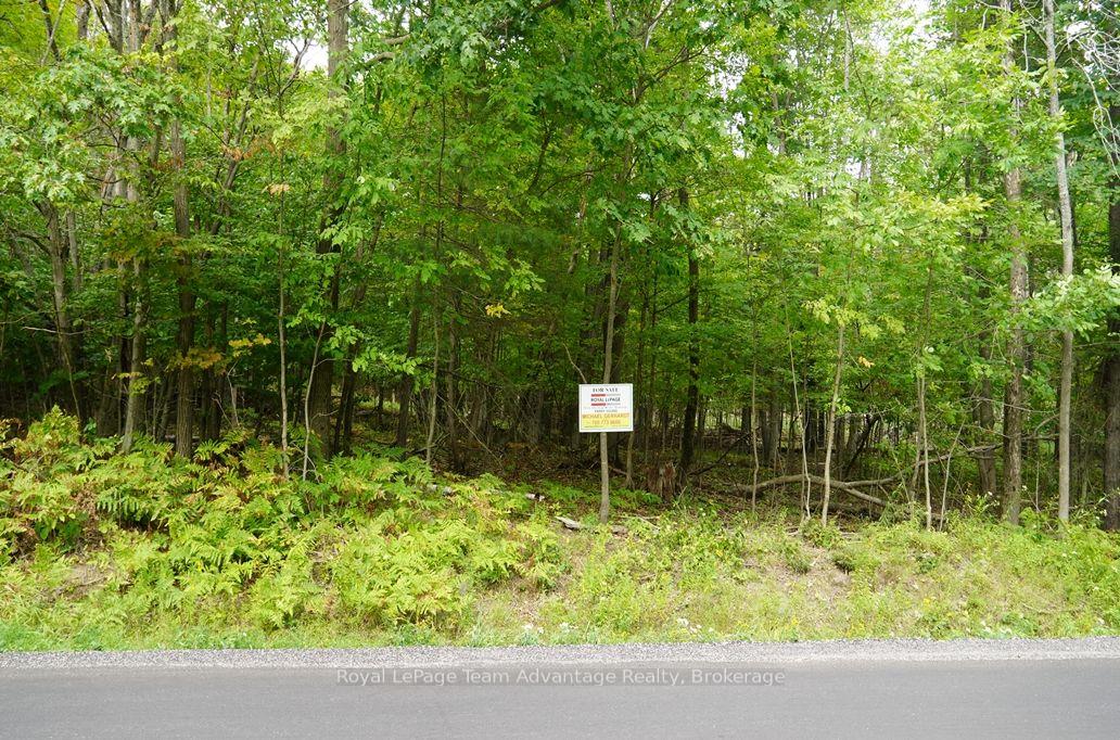 Photo 5 of 99 Carling Bay Road E, Carling — HOMEH