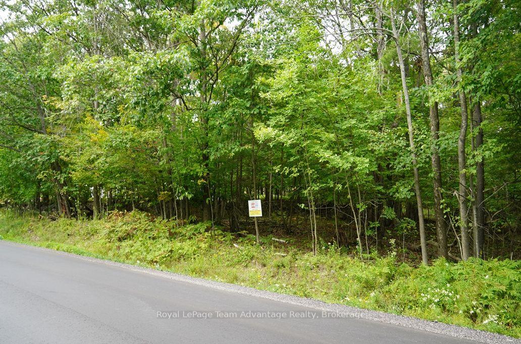 Photo 6 of 99 Carling Bay Road E, Carling — HOMEH