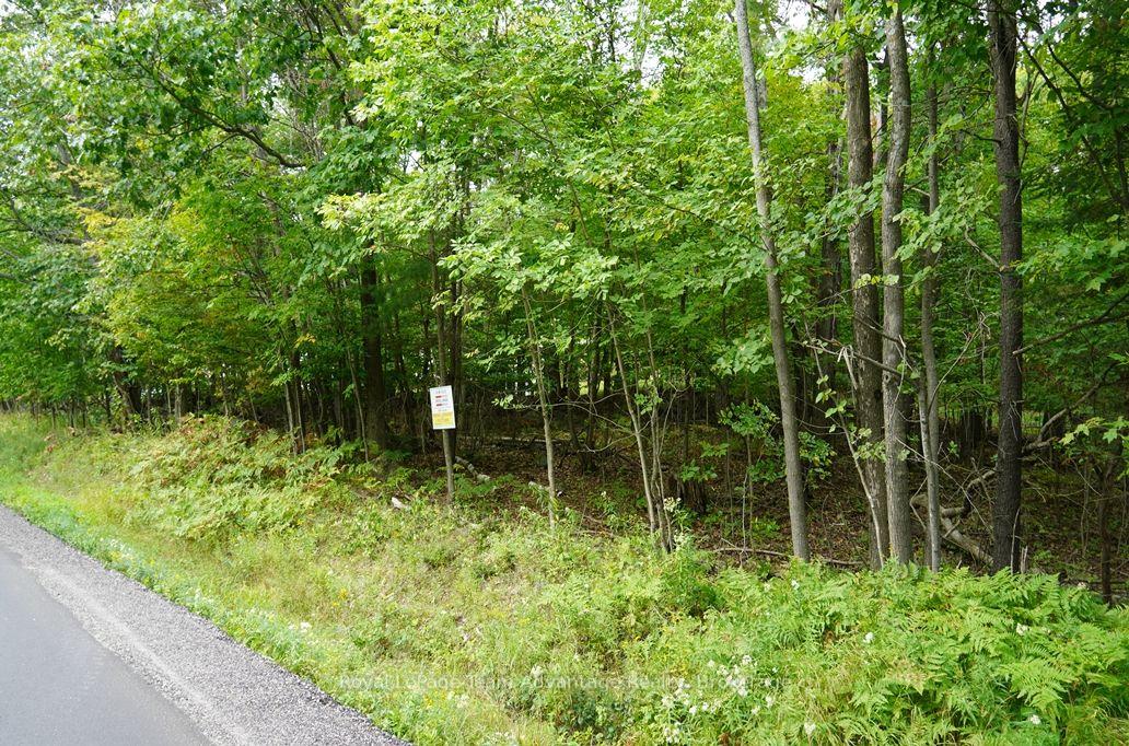 Photo 7 of 99 Carling Bay Road E, Carling — HOMEH