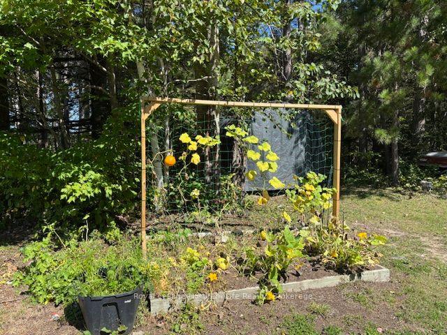 Photo 12 of 65 Ridgemount Drive, East Ferris, Corbeil — HOMEH