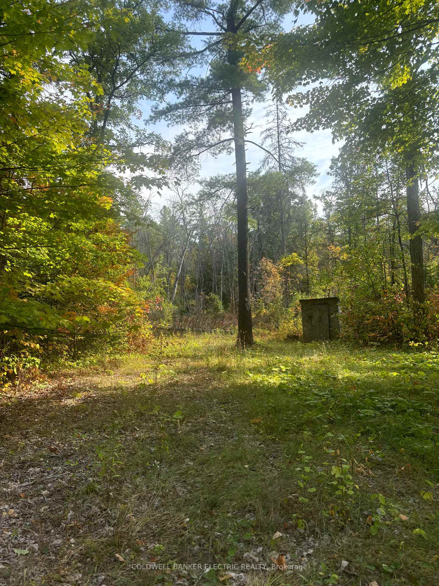 Photo of 0 Pineview Court