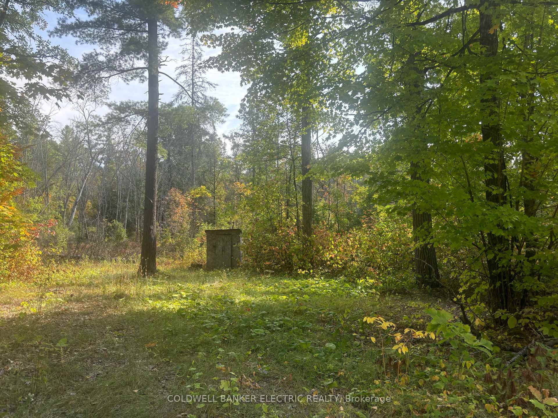 Photo 2 of Pineview Court, Marmora and Lake, Marmora Ward — HOMEH
