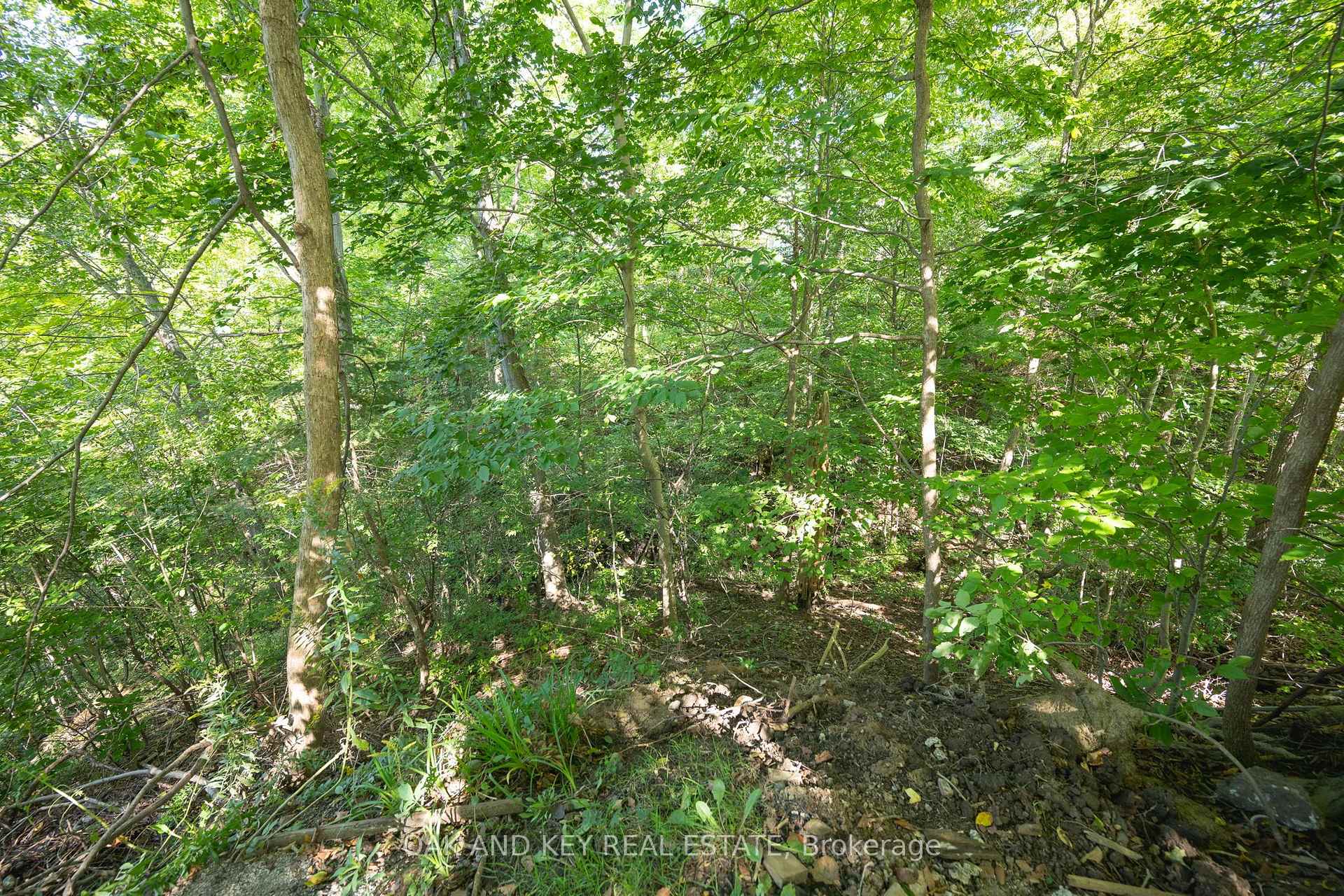 Photo 40 of 102 Crescent Avenue, Central Elgin, Lynhurst — HOMEH