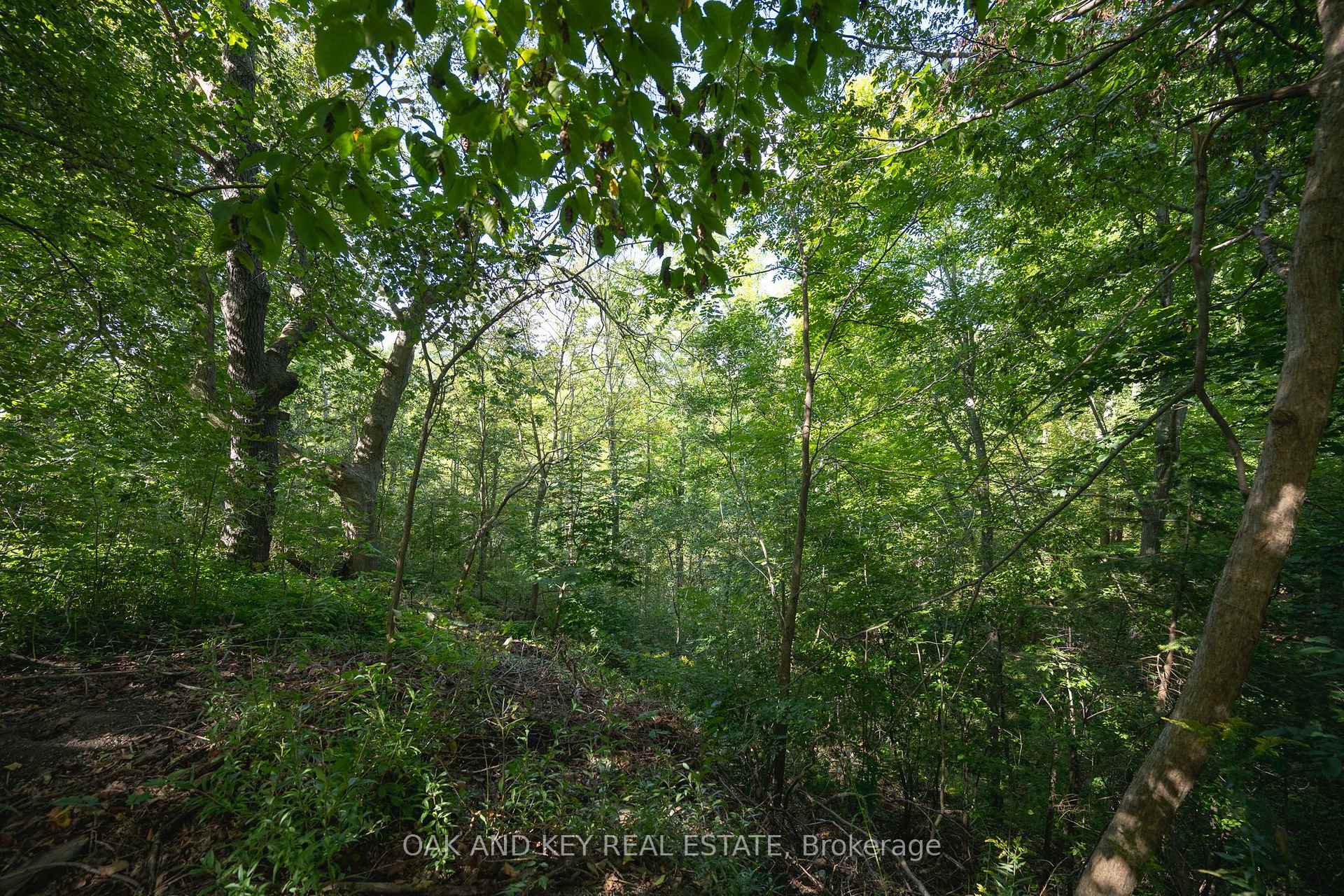 Photo 41 of 102 Crescent Avenue, Central Elgin, Lynhurst — HOMEH