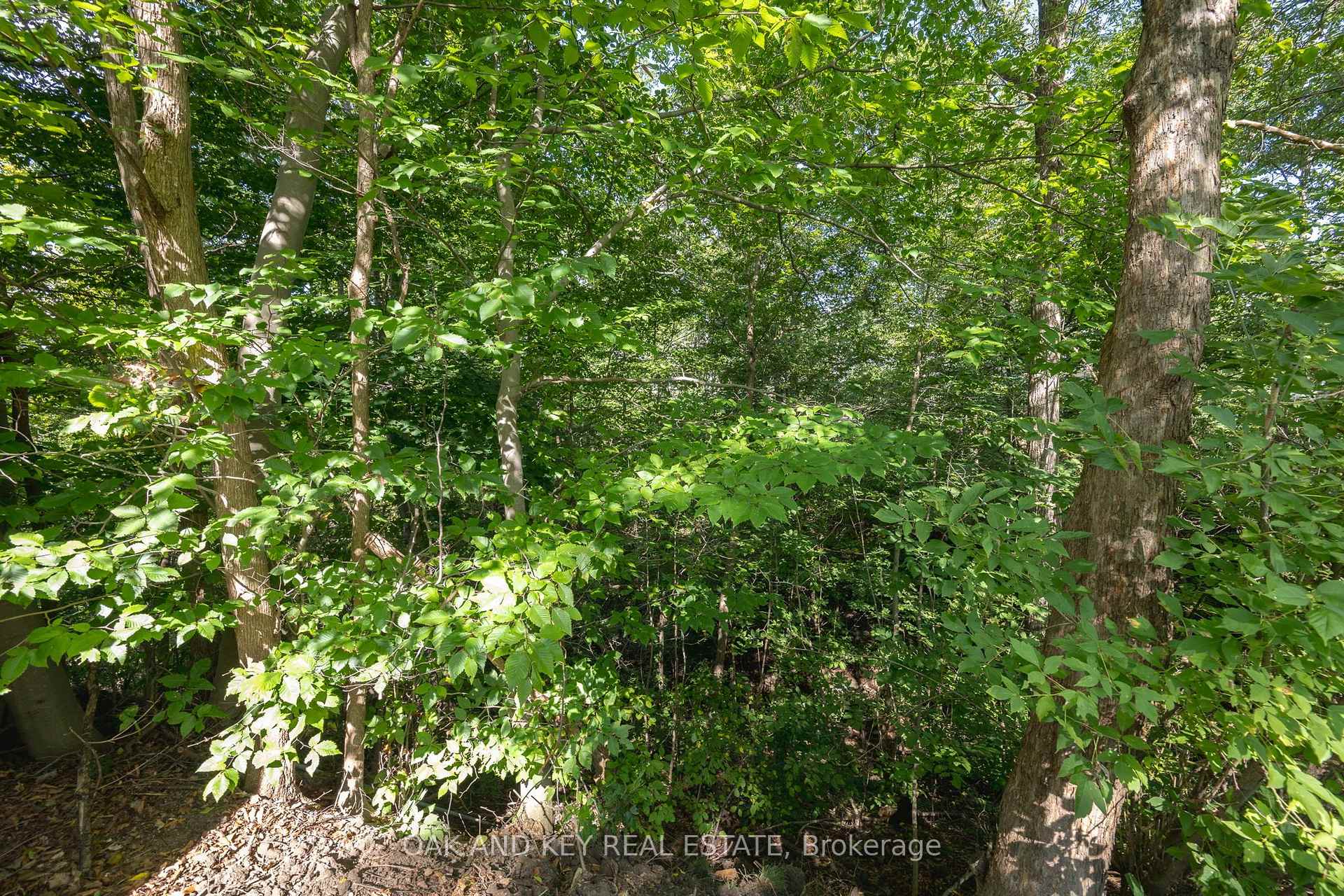 Photo 43 of 102 Crescent Avenue, Central Elgin, Lynhurst — HOMEH