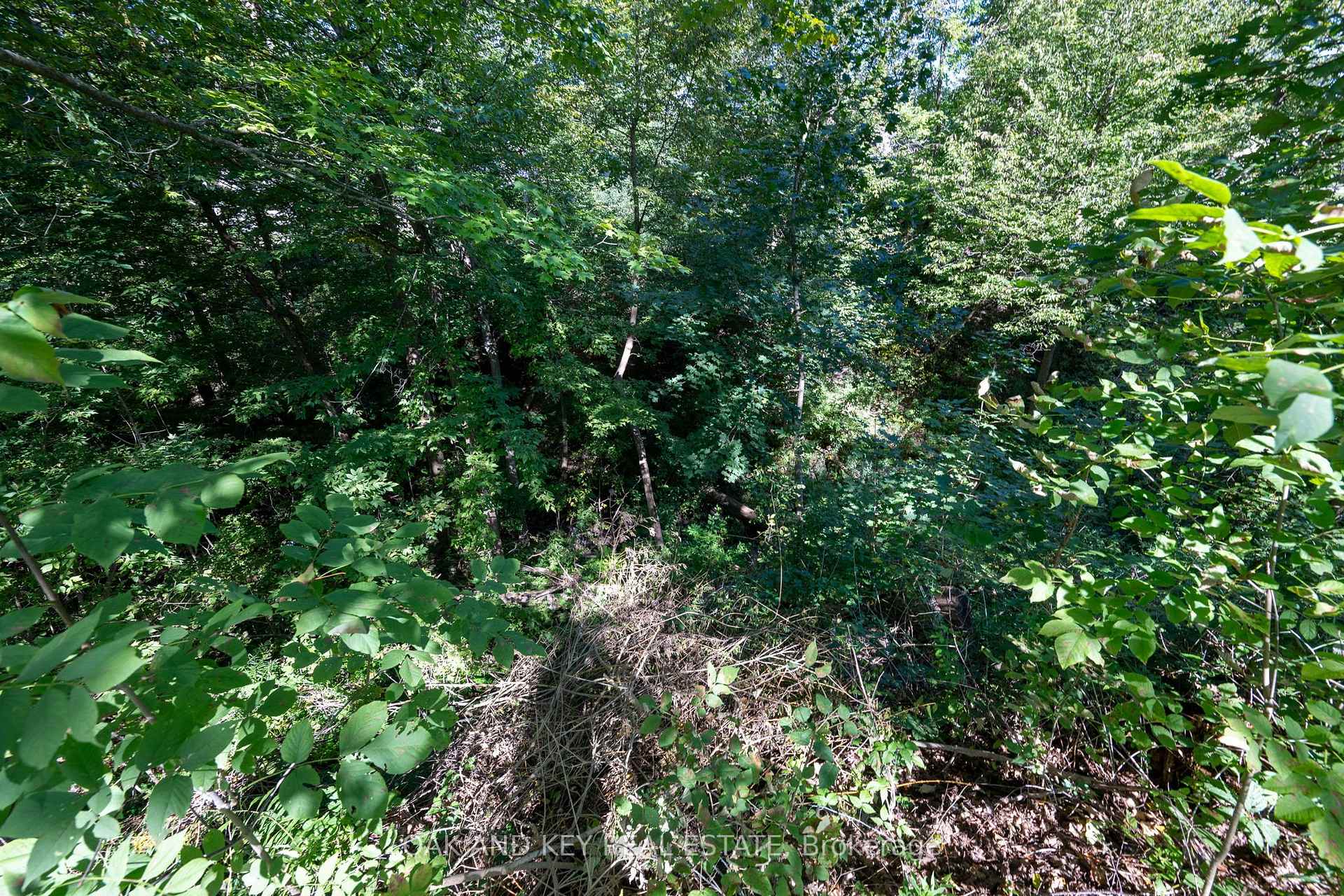 Photo 45 of 102 Crescent Avenue, Central Elgin, Lynhurst — HOMEH