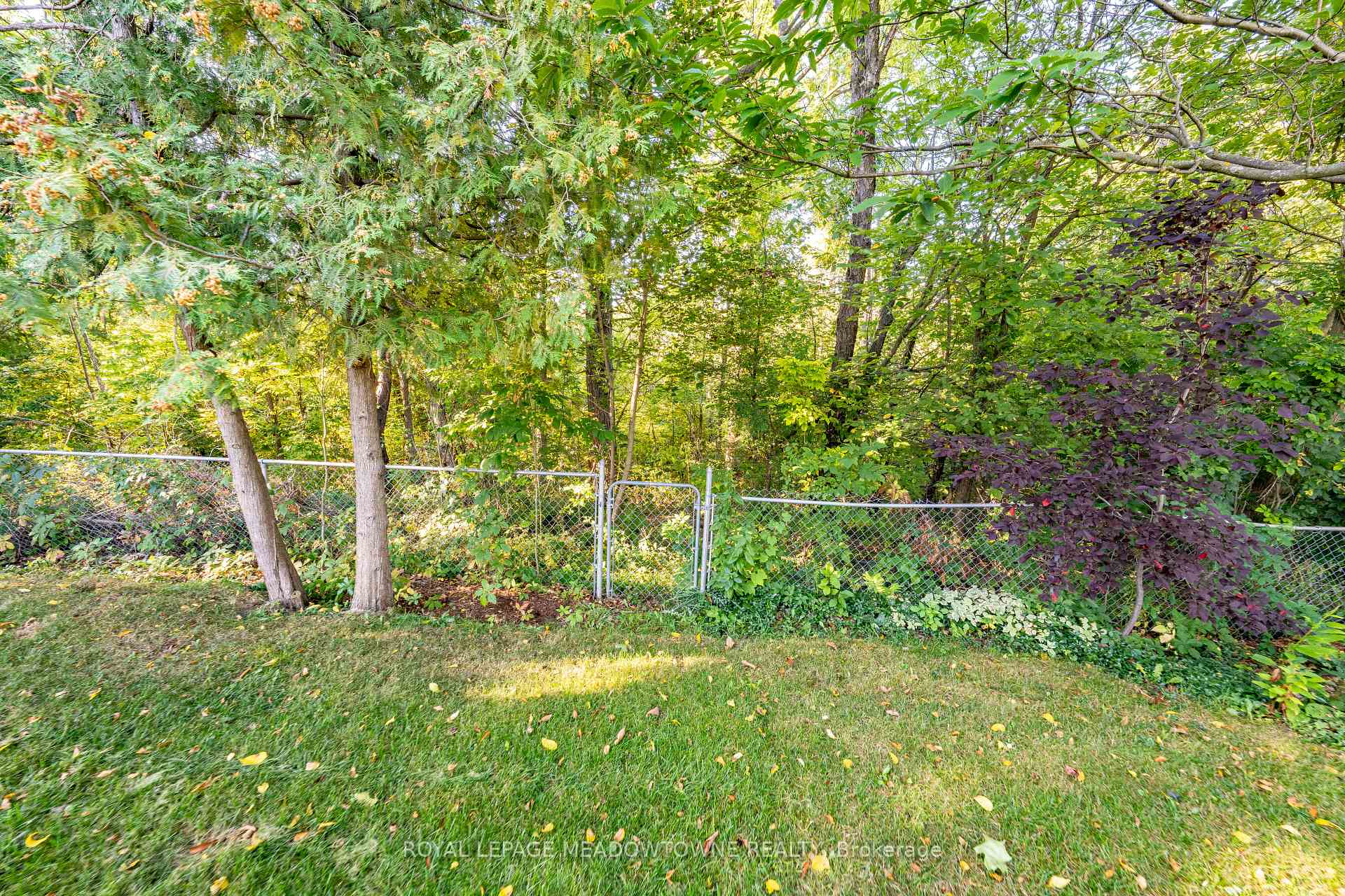 Photo 46 of 7 Terry Court, Halton Hills, Georgetown — HOMEH