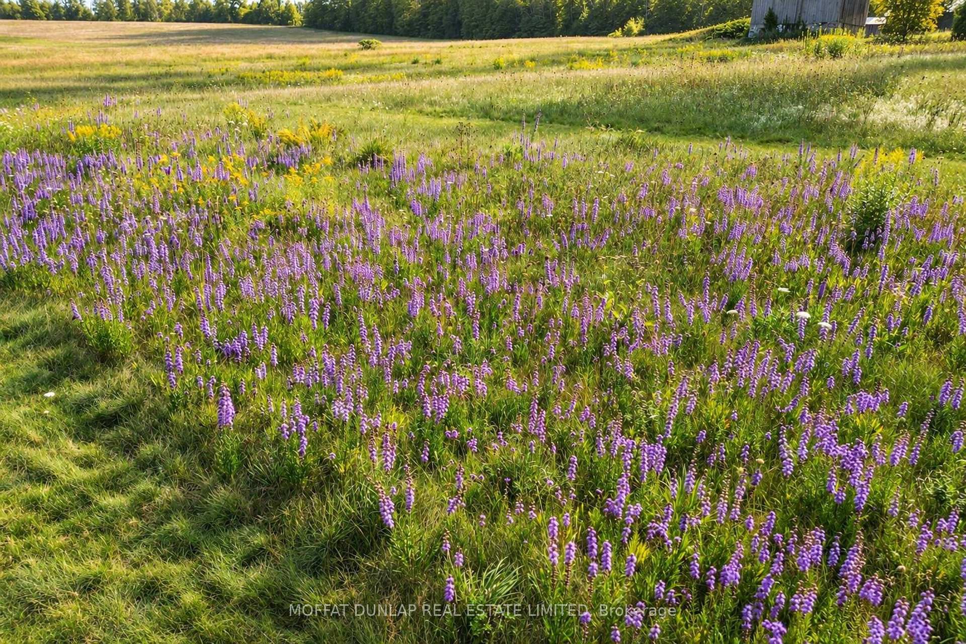 Photo 38 of 10195 Highway 12, Oro-Medonte, Rural Oro-Medonte — HOMEH