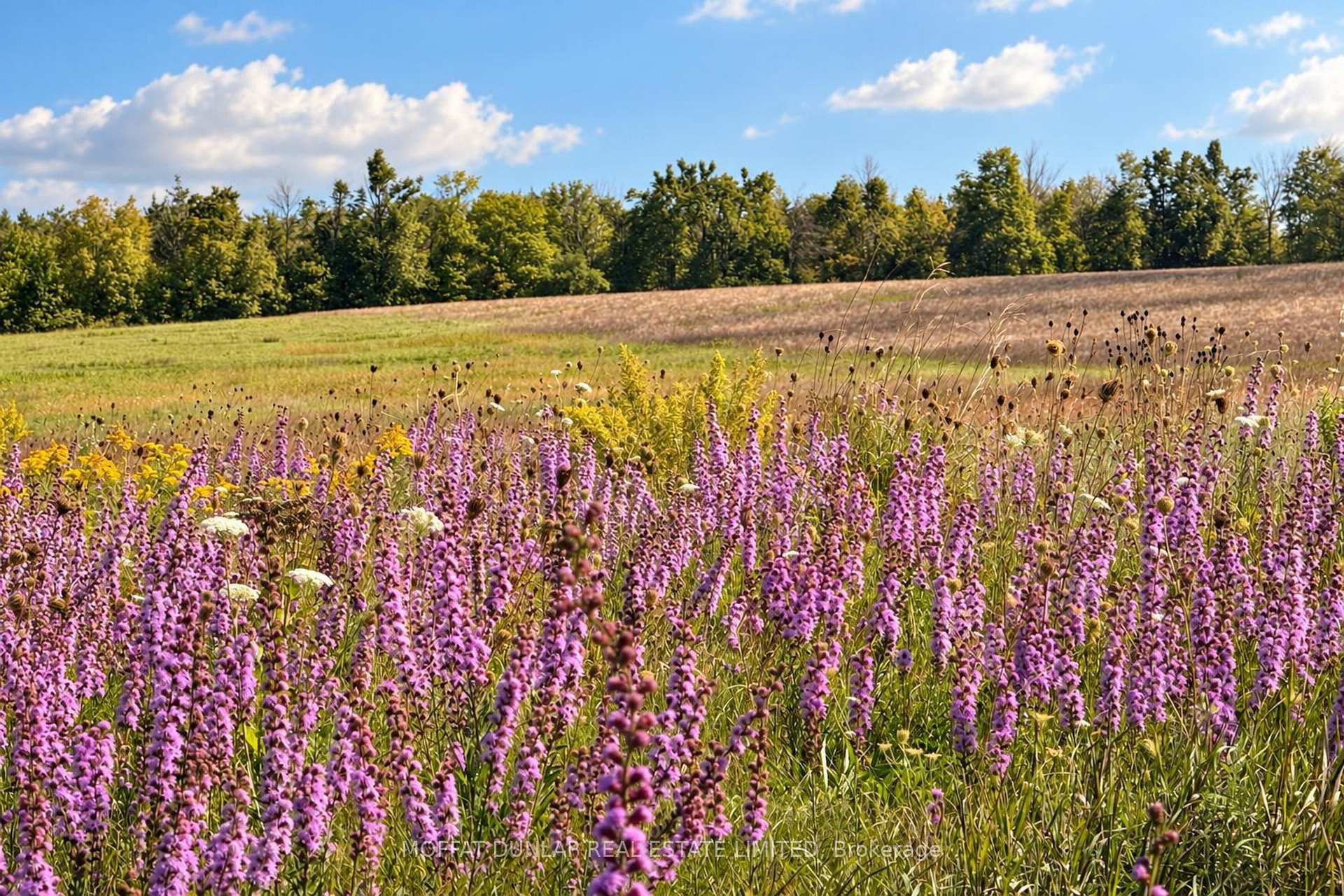 Photo 40 of 10195 Highway 12, Oro-Medonte, Rural Oro-Medonte — HOMEH