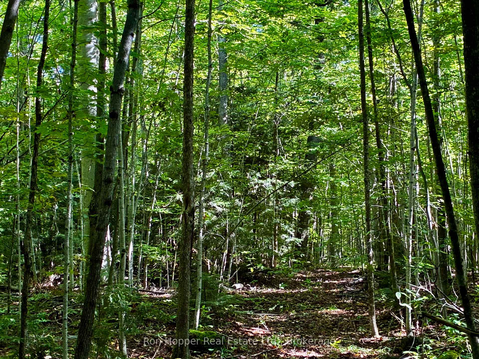 Photo 9 of Pt Lt $ Conc. Rd 6 Concession, Meaford — HOMEH