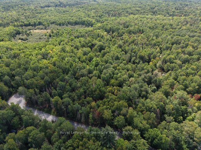 Photo of Lot 19 Concession 26 Highway W