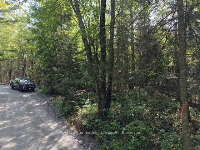 Photo 7 of Lot 19 Concession 26 Highway W, Callander — HOMEH