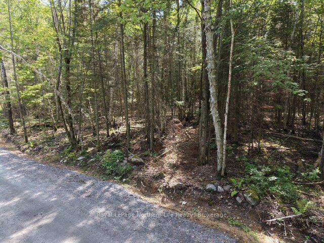 Photo 9 of Lot 19 Concession 26 Highway W, Callander — HOMEH