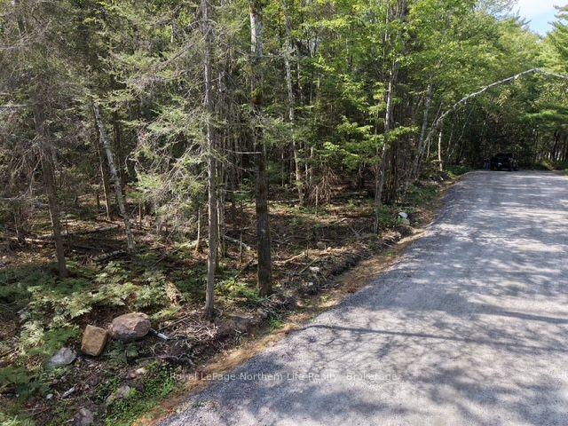 Photo 10 of Lot 19 Concession 26 Highway W, Callander — HOMEH