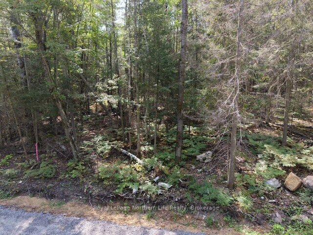Photo 11 of Lot 19 Concession 26 Highway W, Callander — HOMEH