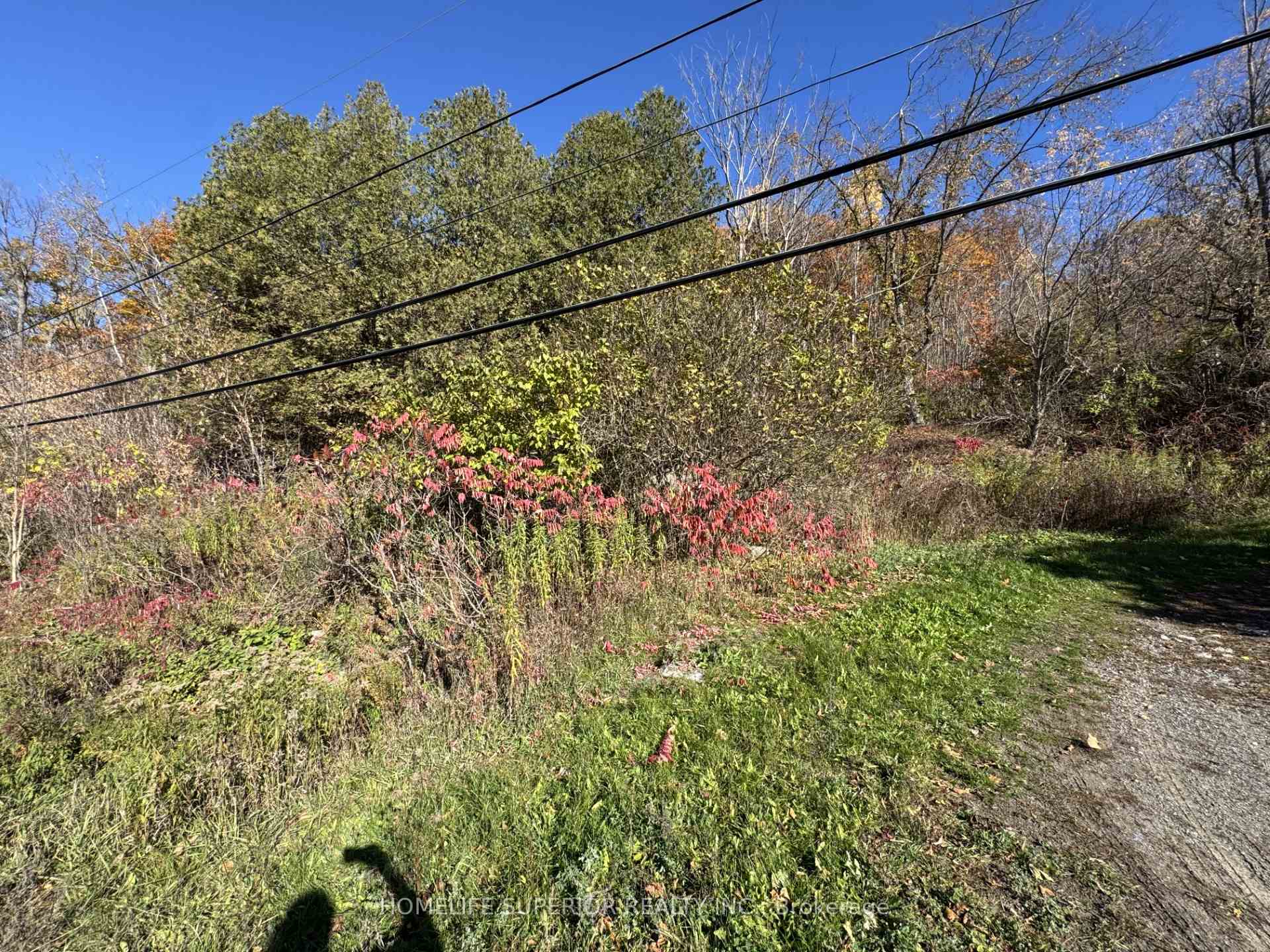 Photo 2 of 58 Main Street, Marmora and Lake, Marmora Ward — HOMEH