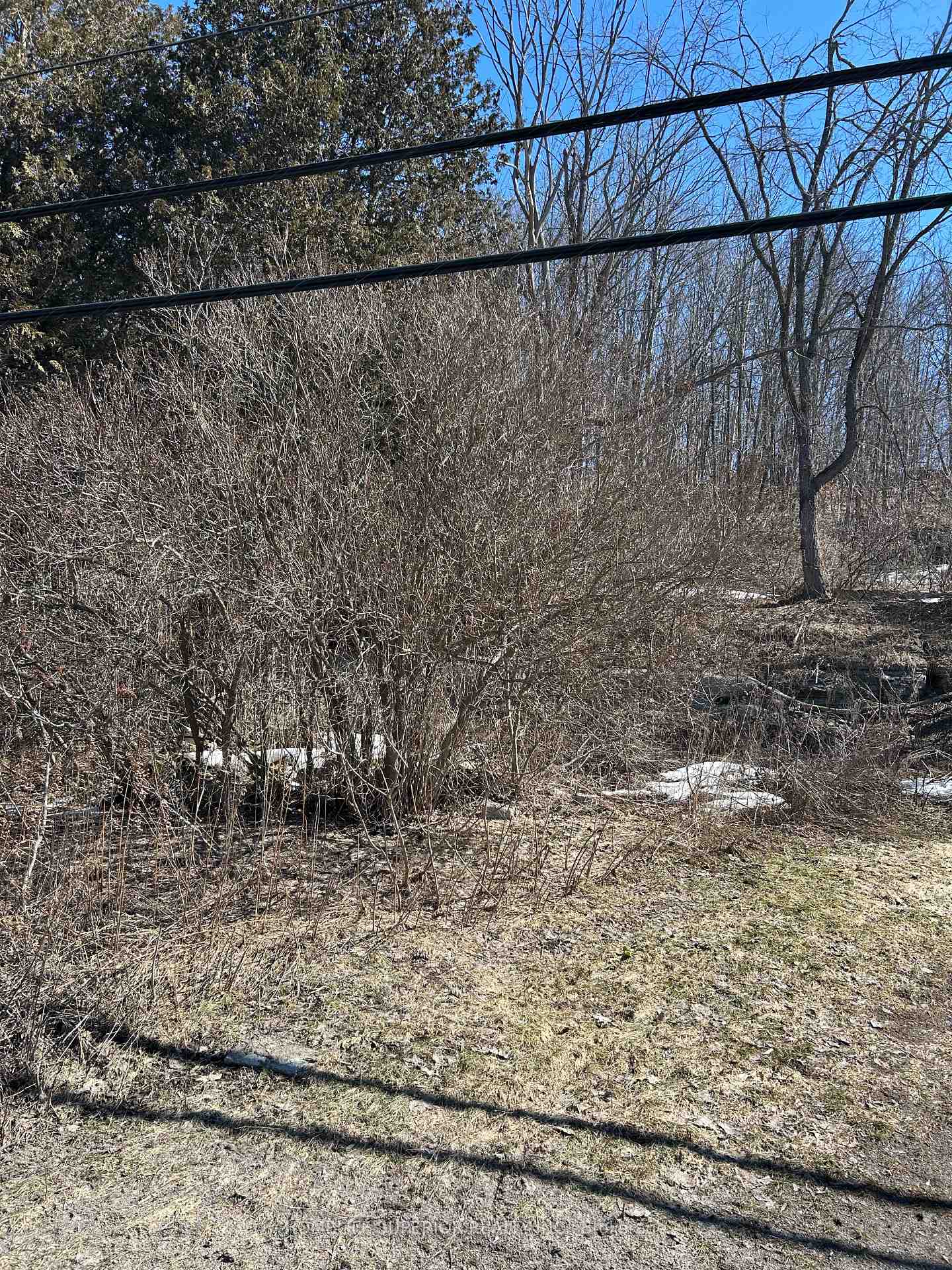 Photo 3 of 58 Main Street, Marmora and Lake, Marmora Ward — HOMEH